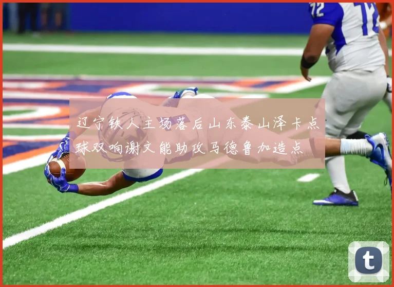 辽宁铁人主场落后山东泰山泽卡点球双响谢文能助攻马德鲁加造点